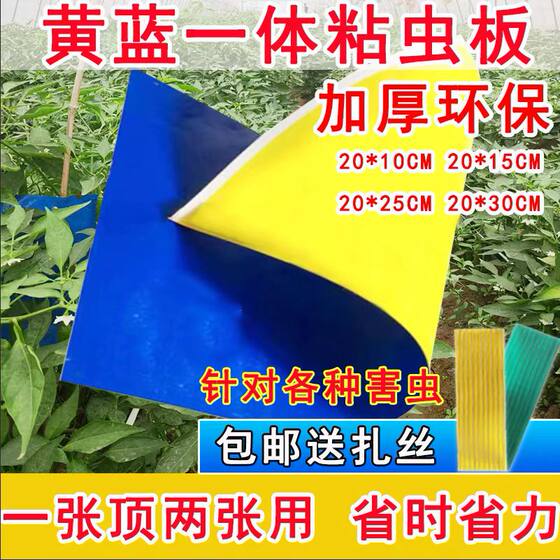 Yellow and Blue Integrated Sticky Insect Trap Board, Yellow Board and Blue Board Double-Sided Insect Trap Board for Greenhouse, Whitefly, Thrips, Small Black Fly, Tea Garden