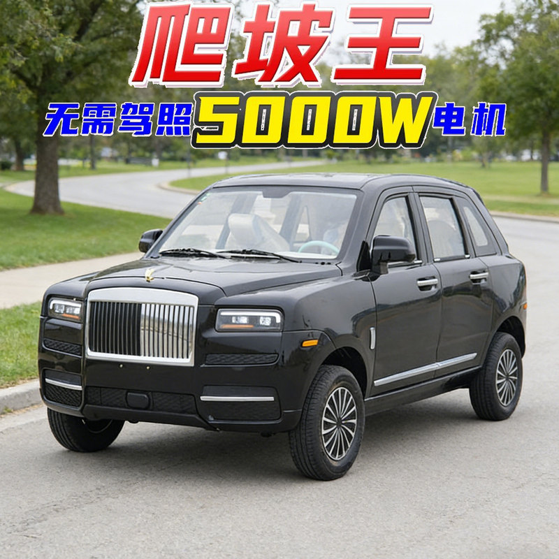 New Model Four-Wheel Electric Vehicle for Elderly People, Fully Enclosed Adult Electric Car for Home Use and Transportation, New Energy Four-Wheel Electric Car