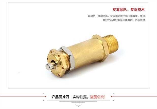 SNS Shenchi Dụng cụ khí nén Van an toàn Van giảm áp tác động trực tiếp Dòng BV đầy đủ - Công cụ điện khí nén