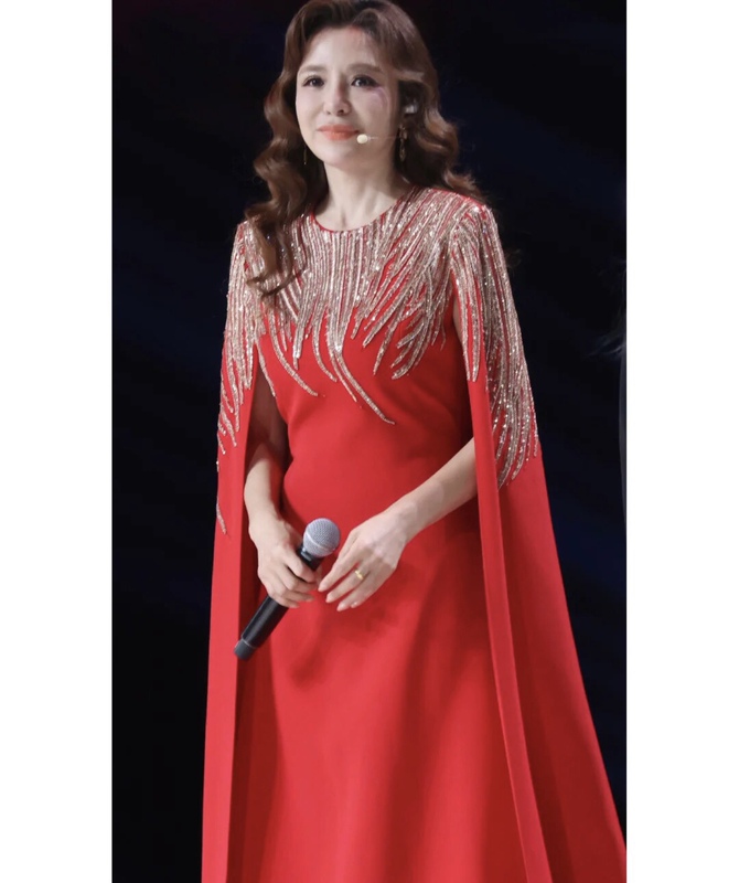 Celebrity-Style Hostess High-End Annual Meeting Party Elegant Slim-Fit Performance Conductor Plus-Size Arm-Covering Long Dress