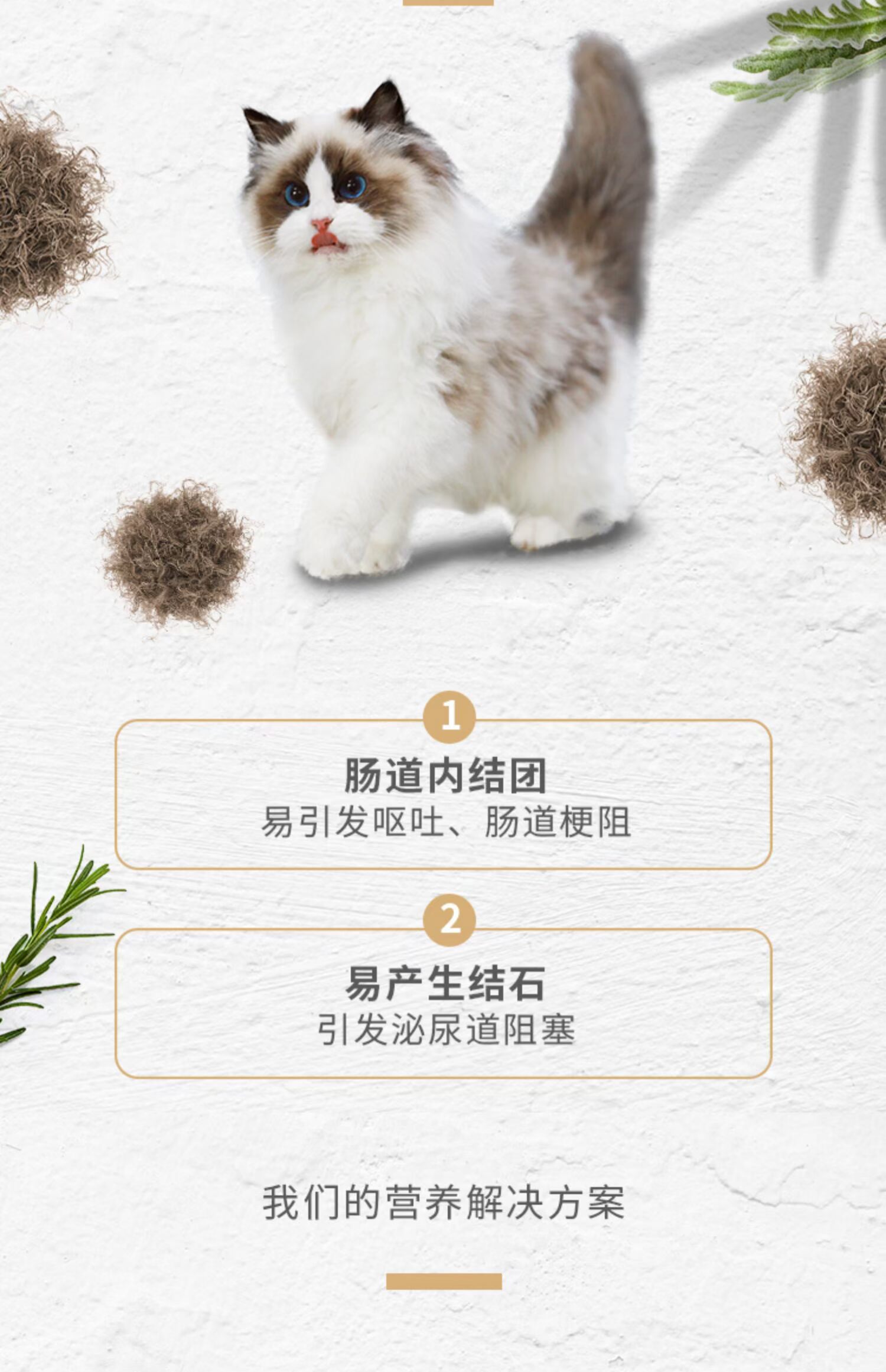 Permasite vào thức ăn cho mèo nói chung loại cá biển sâu làm đẹp cho tóc bóng công thức thức ăn tự nhiên cho mèo - Cat Staples hạt nutrience