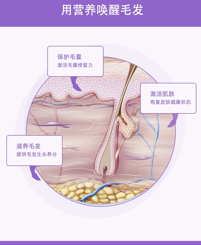 Wei Shi mèo lecithin bột lông thú cưng 180g mềm phospholipid mèo rong biển dầu cá sáng tóc làm đẹp tóc bột mèo - Cat / Dog Health bổ sung sữa cho chó 3 tháng tuổi	