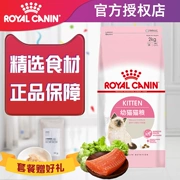 Thức ăn cho mèo Royal K36 2kg cho con bú ngắn Anh mèo ngắn mang thai mèo thức ăn cho mèo - Cat Staples