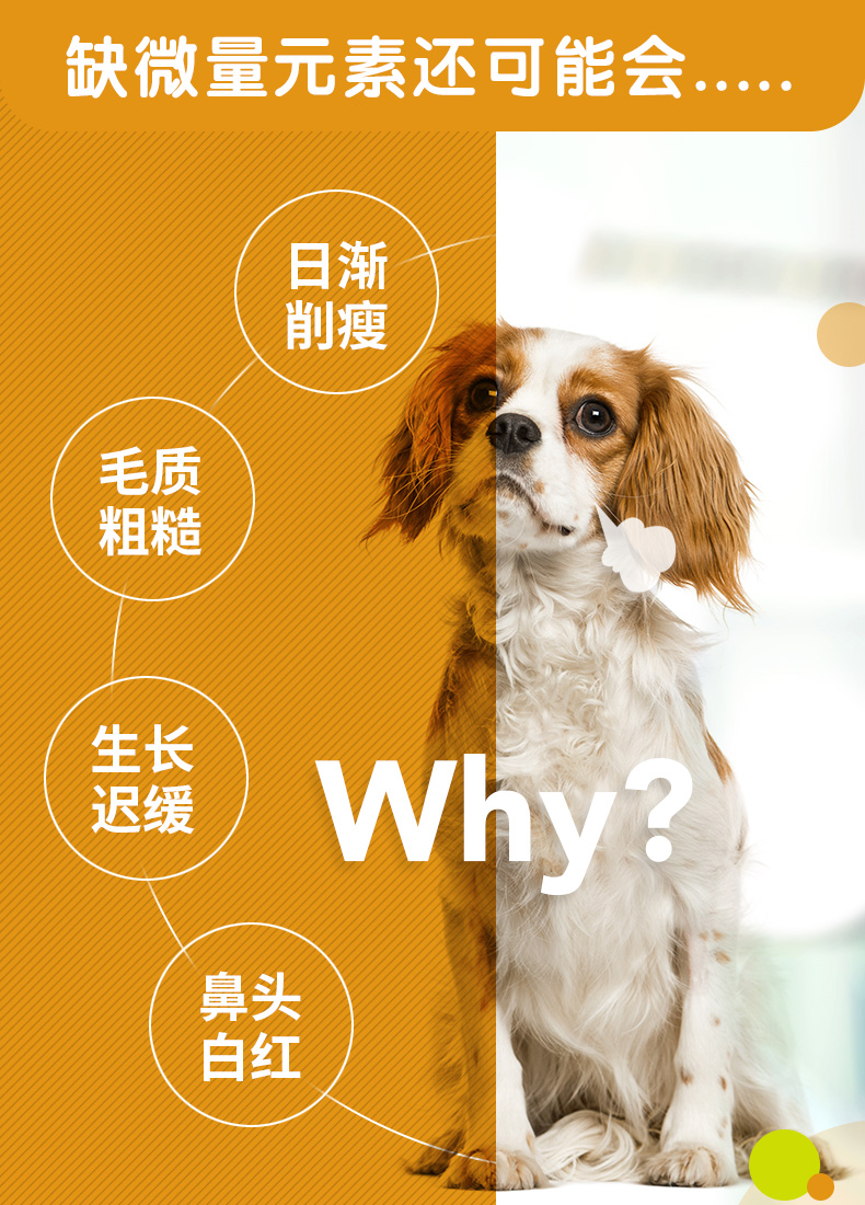 Máy tính bảng dấu vết của Mead Thú cưng chó chống mèo ăn phân chó chống mạt đất chống chăn thả - Cat / Dog Health bổ sung sữa cho chó trưởng thành