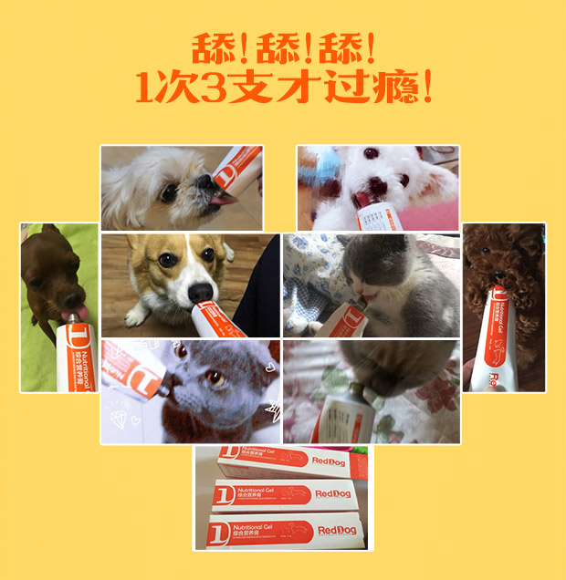 RedDog Red Dog Kem dinh dưỡng Dog Kem dinh dưỡng Puppy Cat Vitamin Pet Pet Teddy Golden Bổ sung tóc - Cat / Dog Health bổ sung cho mèo con uống sữa gì