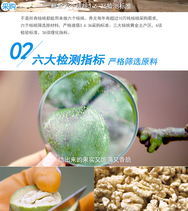 养元 易智优+ 六个核桃 240ml*20罐 图3