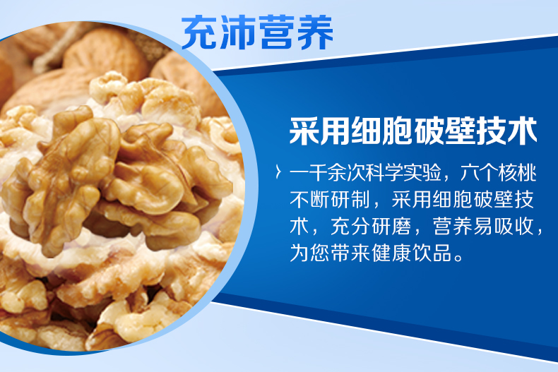 六个核桃 精研型核桃乳 240ml*20罐 图3