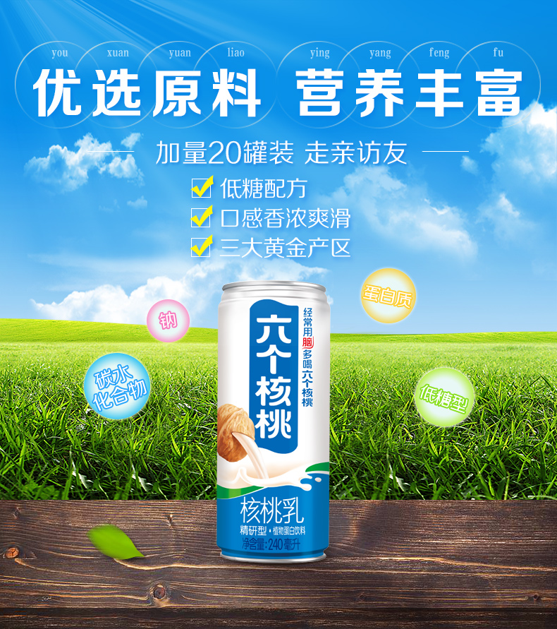 六个核桃 精研型核桃乳 240ml*20罐 图1
