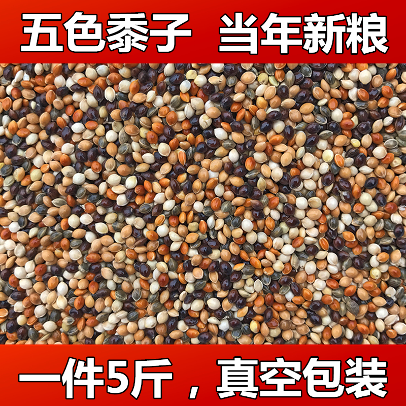 Tiger skin peony Xuanfeng small and medium parrot bird food feed five-color millet parrot mixed grain millet 5 catties
