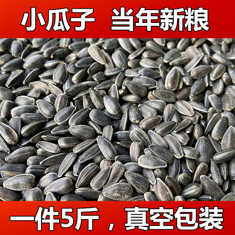 Black pearl small melon seeds oil sunflower seeds parrot bird food hamster snack bird food pigeon food 5 catties vacuum