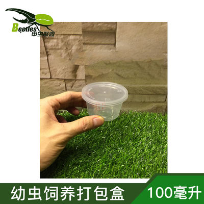 Beetle, rhinoceros beetle, stag beetle and other larva feeding box 100ml pudding box, packed and shipped, made of PP material