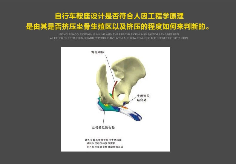 Selle de vélo - Ref 2356954 Image 57