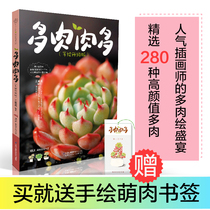 Multi-meat multi-meat (hand-painted upgraded version)Multi-meat farming tutorial Variety Daquan Multi-meat books Multi-meat guide Multi-meat farming methods Zero-based technology to raise succulents books Learn to raise succulents books