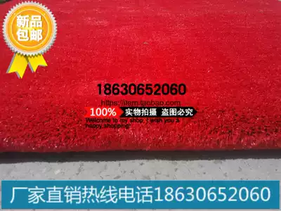 Red simulation lawn carpet Kindergarten decoration stage artificial lawn Plastic fake turf color lawn