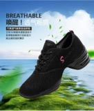 Ren? 020 四 愠 0 ∥   任 任 任  栊 枭 枭 枭 枭 枭 枭 任 任 任 任 任 任 任