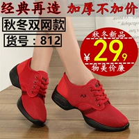 812 Двойная сеть (Dahong)