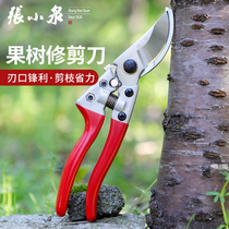 Zhang Xiaoquan fruit tree trimming scissors pruning branches gardening scissors flower scissors potted pruning branches