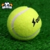 Đào tạo kháng tennis người mới bắt đầu thực hành duy nhất quần vợt đàn hồi quần vợt chuyên nghiệp đào tạo quần vợt chuyên nghiệp ba Quần vợt