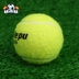 Đào tạo người mới bắt đầu mặc quần áo giải trí tennis người mới bắt đầu đào tạo bóng tập luyện đơn [ba Pack bóng tennis dunlop ao Quần vợt