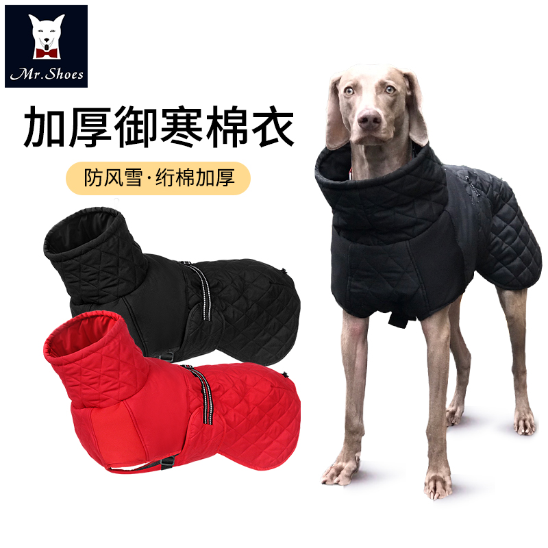 Dog clothes autumn and winter thickened medium-sized large dog high collar belly protection pet chest back clothes trendy brand Labrador clothes