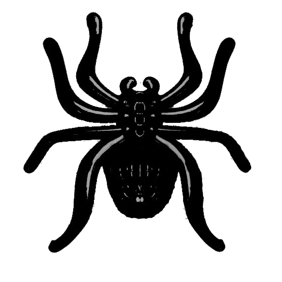黑蜘蛛珠宝店的LOGO