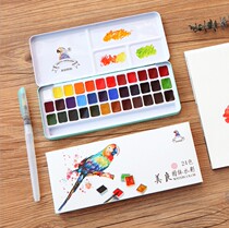 Meiliang watercolor pigment 24 color beginner solid watercolor hand drawn watercolor set 36 color watercolor hook line