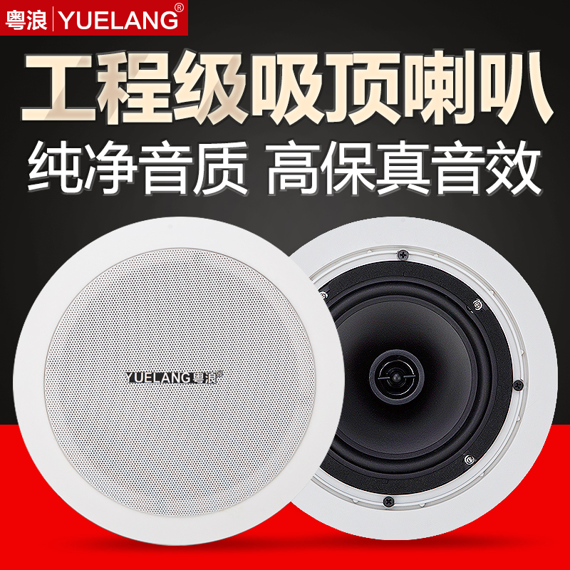 Cantonese Wave YL-R8 Suction Top Horn Ceiling Hung Ceiling Wall-mounted Speaker Shop Dining Room Supermarket Home Living Room Bedroom Embedded Background Music Campus Public Radio Acoustics
