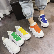European Station Small White Shoes Women Flex Thick Bottom Mesh Yarn Casual Shoes 2019 Nets Red Spring New Pine Pastry Sneakers