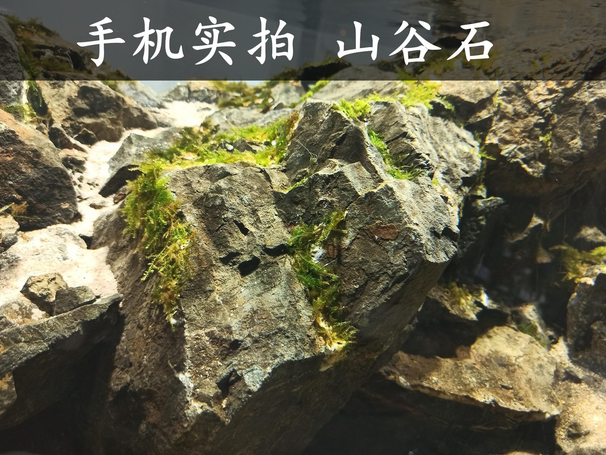 山谷石,山谷石是什么石头,山谷石和青龙石区别(第13页)_大山谷图库