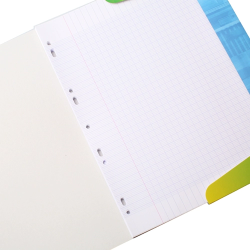 Французский Clairefontaine Clangdan Living Page A4 подходит