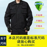 Осенний комбинезон, зимняя куртка, лонгслив, пуховик для тренировок