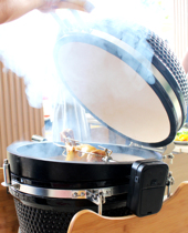 Aples 21 Inch Ceramic Barbecue Grill Chicken Fork Automatic Swivel Electric Motor Automatic Grill Fork