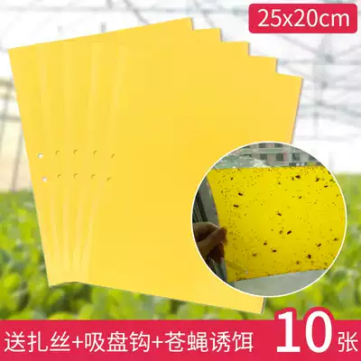 Sticky fly paste mosquito artifact household fly strong sticky mosquito paper fly fly paper fly board pear fly bug kill