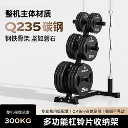 Multi-Functional Small Barbell Rack Dumbbell Barbell Plate Rack Storage Rack Placement Rack Storage Rack Olympic Bar Rack for Home Use