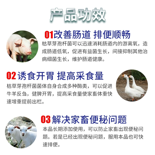 诱食灵 Продвижение пептидного говядины и овец Jianjian Anti -Bloathing, чтобы помочь пищевой пищевой пищевой промышленности и желания Dung Dry So Sow Anorexia