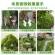 Simulated Silk Moss Landscaping Micro-Landscape Plant Decoration Artificial Bionic Lawn Stone Fake Moss Model Material