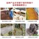 Sand Table Scene Materials, Simulated Gravel Ditch Effect Paste, DIY Handmade Rivers, Lakes, Forests, Plains, Mountains