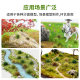 Scenario Model Grass Clusters Miniature Vegetation Sand Table Architectural Model Simulation Grass DIY Materials Dotted Grass Balls Wild Grass Bushes