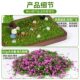 Tree Powder, Dried Flowers, Self-Mixed Materials for Journaling, Simulated Plant Landscaping, DIY Micro-Landscape Flower and Grass Scene Model Making Materials