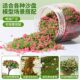 Tree Powder, Dried Flowers, Self-Mixed Materials for Journaling, Simulated Plant Landscaping, DIY Micro-Landscape Flower and Grass Scene Model Making Materials