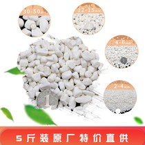 Pebbles Natural rain stones Small white stones fleshy paving potted plant pots Courtyard landscaping decoration White stone