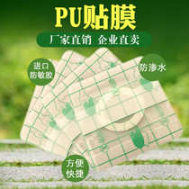  PU film waterproof transdermal patch plaster patch transdermal patch Three-volt patch Acupressure patch navel blank patch pu tape