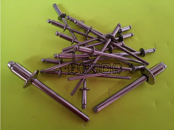 Fine brand round head 304 all stainless steel pull stainless steel pump rivet 2 4 series