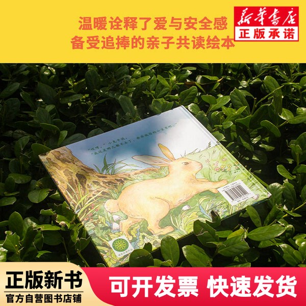 [Authentic New Book] Runaway Bunny (Us) Margaret Wise Brown Jiangsu Phoenix Literature and Art Publishing House 9787559469540