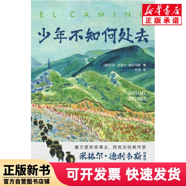 [Authentic New Book] the Young Man Who Doesn'T Know Where to Go [Spain] Miguel Delivis People's Literature 9787020185276