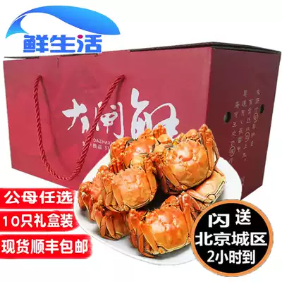 Beijing flash send hairy crab fresh Crab Crab Crab 2 0-2 5 two male and female choose 10 Shunfeng
