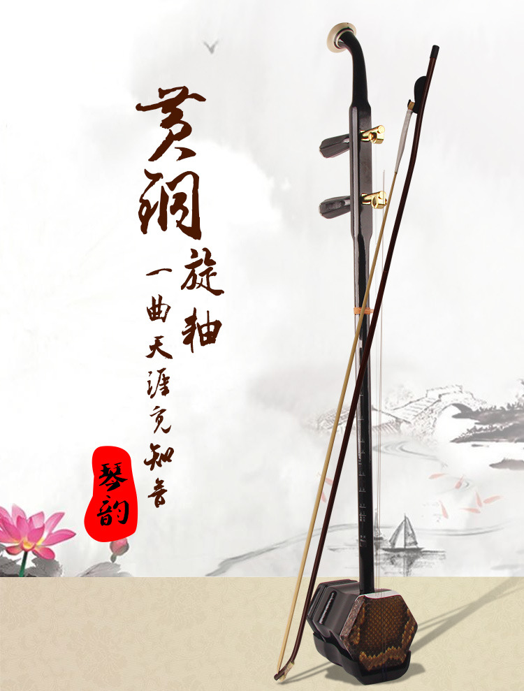 Nhạc cụ dân tộc gỗ lục giác rắn Tô Châu erhu nhạc cụ trẻ em người lớn phổ cập người mới bắt đầu giới thiệu 蟒皮 胡琴 送 - Nhạc cụ dân tộc saotrucmaomeo