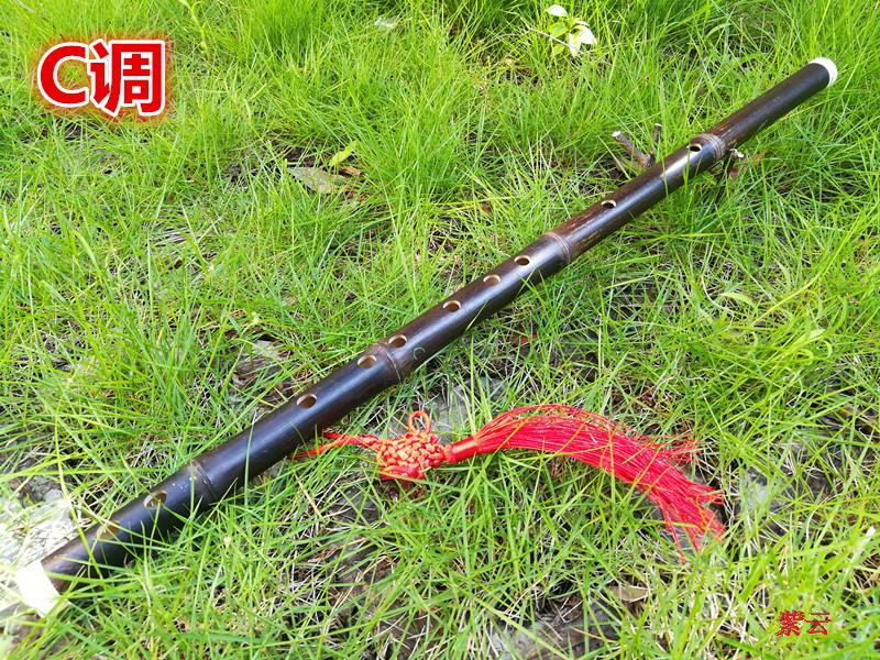 Khuyến mại nhạc cụ gió quốc gia sáo đơn phần tím tre sáo học sáo sáo C D E F G - Nhạc cụ dân tộc đàn đáy