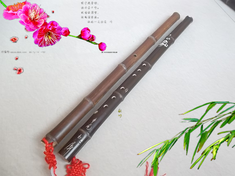 Nhạc cụ dân tộc Xiao phần tím tre ngắn 6 lỗ 8 lỗ g có thể điều chỉnh giai điệu F cho người mới bắt đầu 箫 khuyến mãi - Nhạc cụ dân tộc sáo điện tử