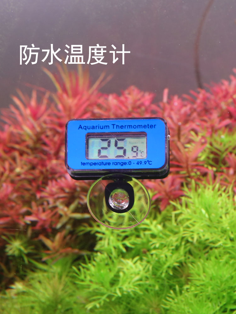 Fish tank thermometer Aquarium dedicated in-cylinder diving high precision electronic water temperature meter Waterproof patch type number display